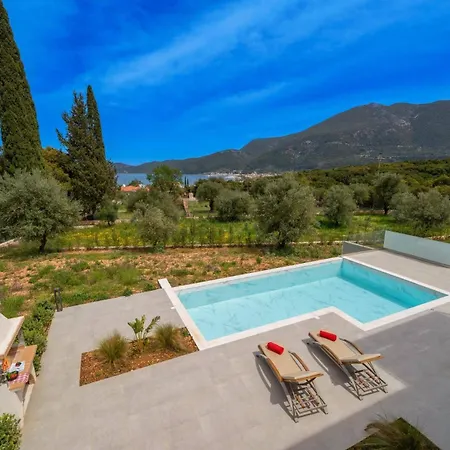 Mandolin By * 사미